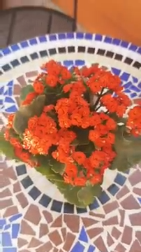 CONHEÇA ALGUNS AMBIENTES DA ESCOLA Carmen Romero Dança Flamenca