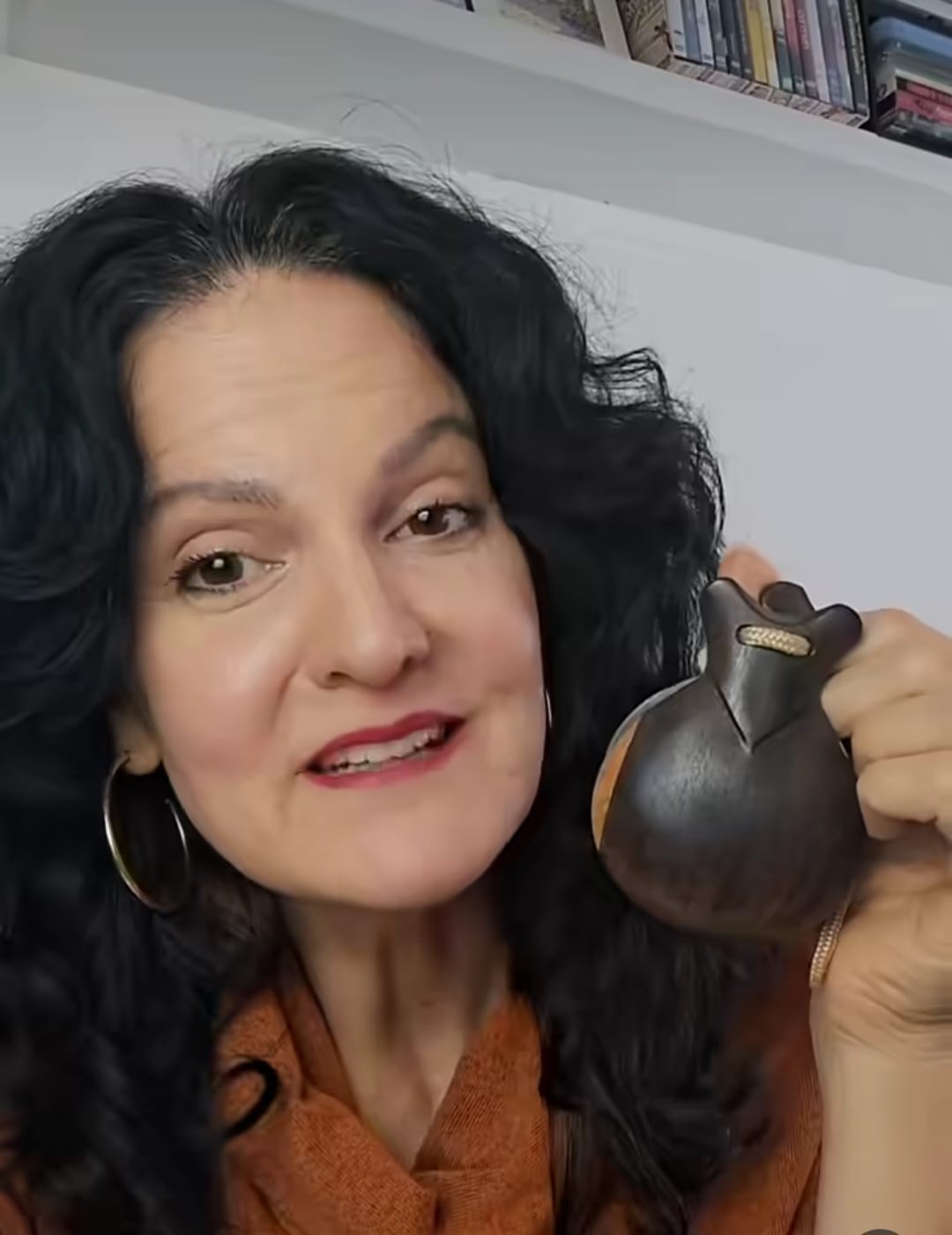 História e Evolução da Castanhola Espanhola